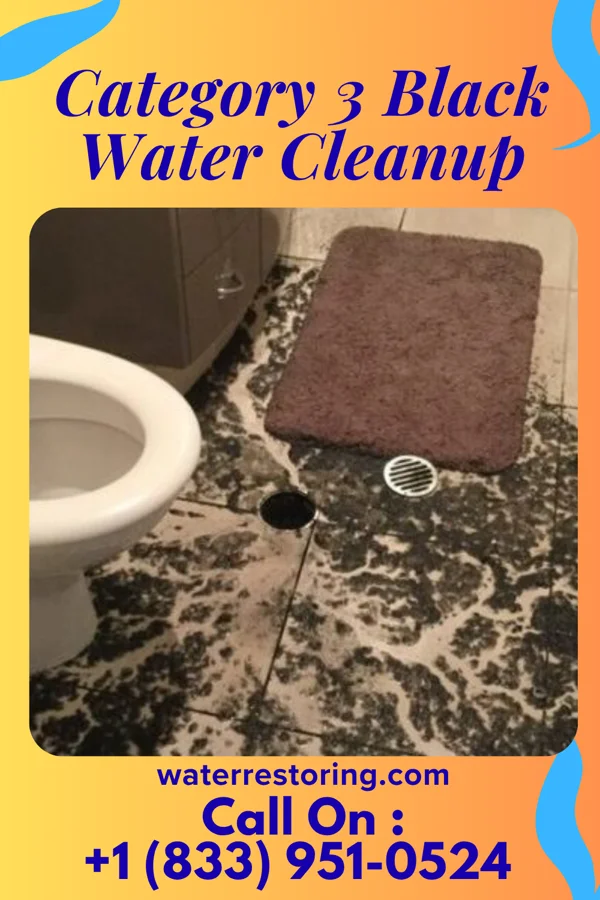Category 3 Black Water Cleanup in Thompson's Station, TN