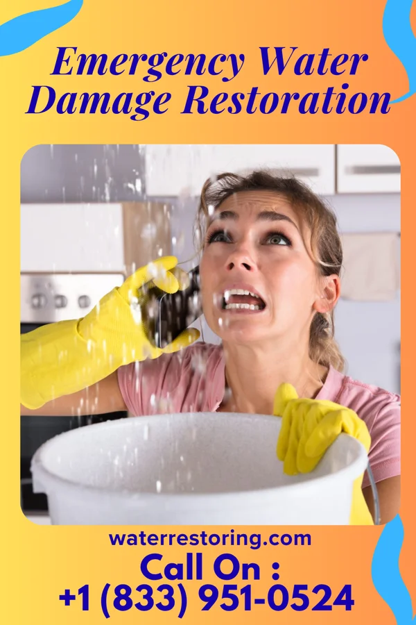 Emergency Water Damage Restoration in Thompson's Station, TN