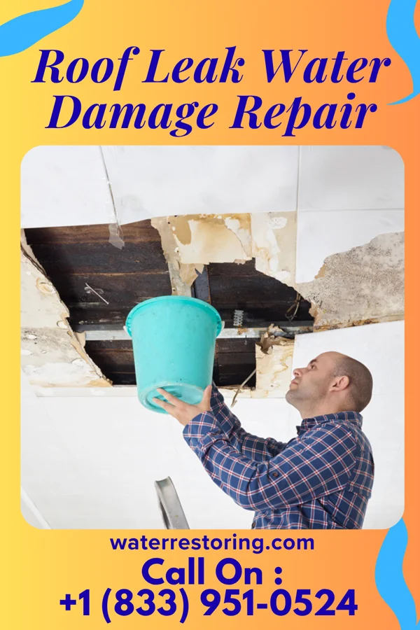 Roof Leak Water Damage Repair in Thompson's Station, TN